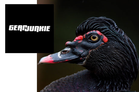 Muscovy Down - What's This? A new insulation and consumers will see a lot more of it.