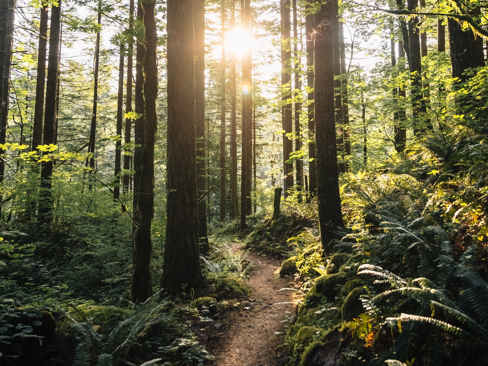 6 Things I Wish I Knew About Backpacking When I Started I Zenbivy