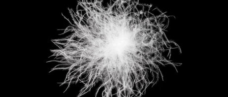 The Future of Insulation: A Deep Dive into Zenbivy’s Down and Synthetic Fill Options