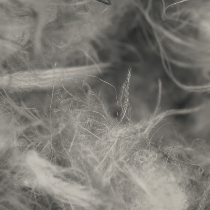 900 fill Dry Down | Zenbivy Sleeping Bag Systems