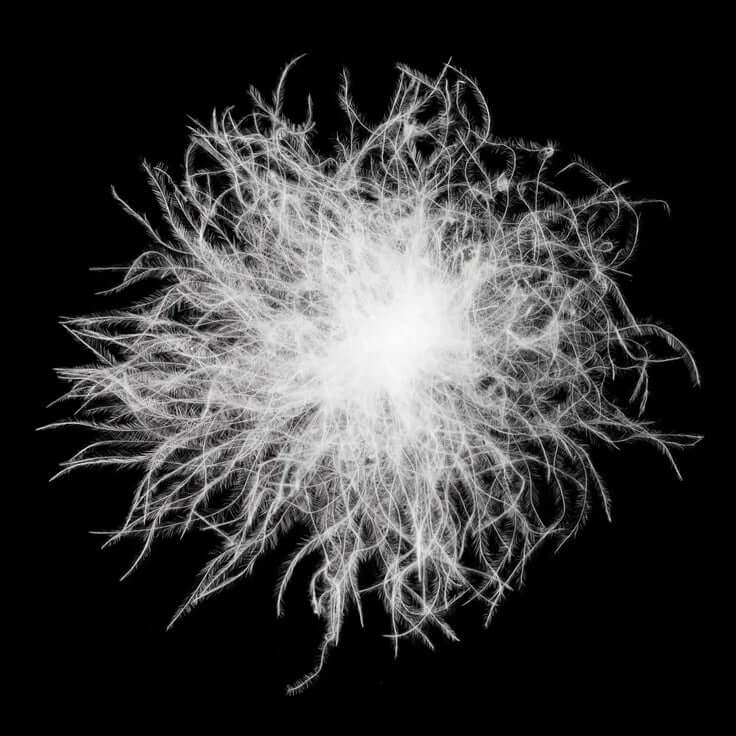 Ultralight Bed Muscovy -4°C (uninsulated sheet) ⎮ Zenbivy Europe